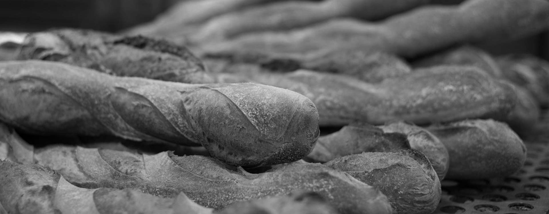 Fresh French Sticks - Friendly Loaf Bakery, Bury St Edmunds