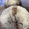 Bread - Seeded Dark Rye
