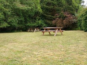 Seating Area - Friendly Loaf Bakery - Bury St Edmunds