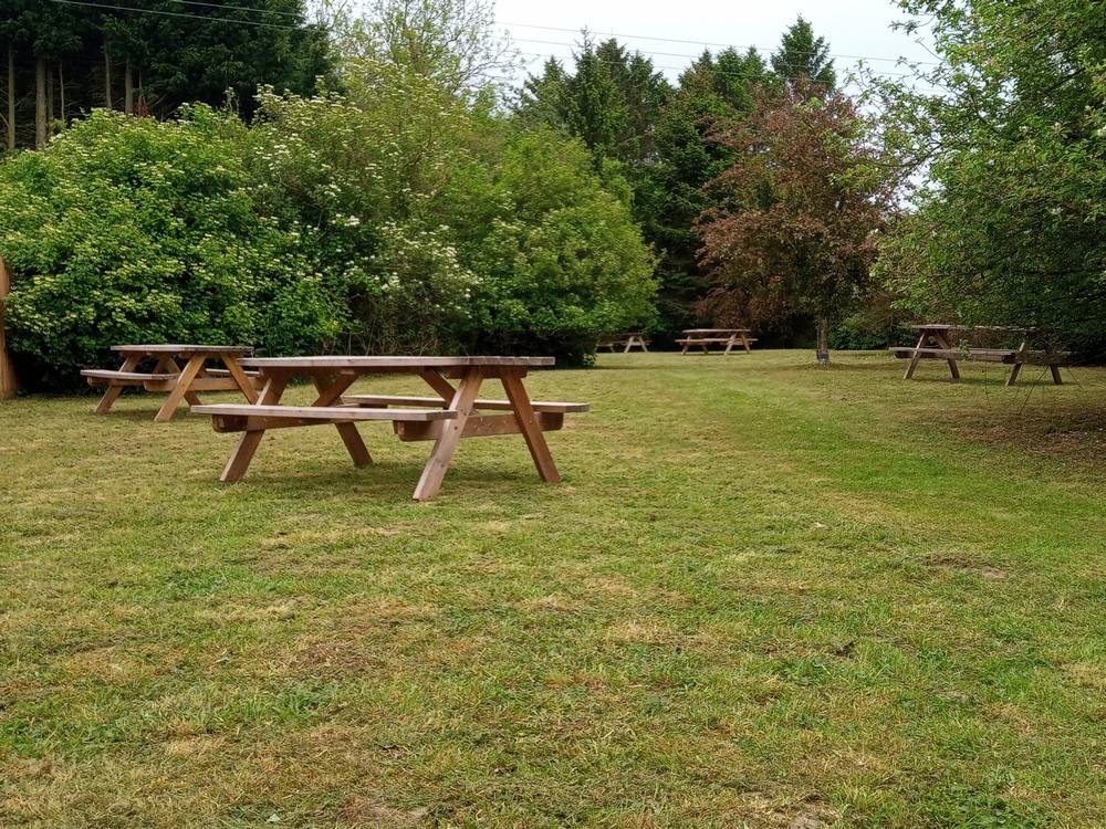 Seating Area - Friendly Loaf Bakery - Bury St Edmunds
