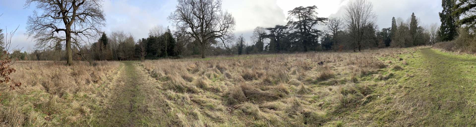 Nowton Park - Bury St Edmunds - Friendly Loaf Bakery