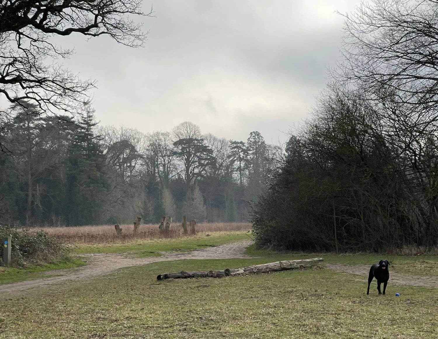 Nowton Park - Bury St Edmunds - Friendly Loaf Bakery