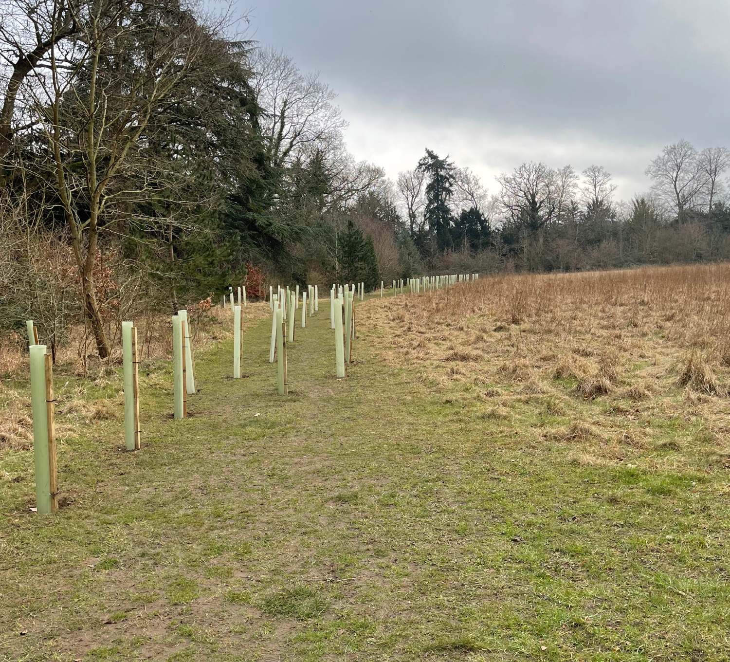 Nowton Park - Bury St Edmunds - Friendly Loaf Bakery